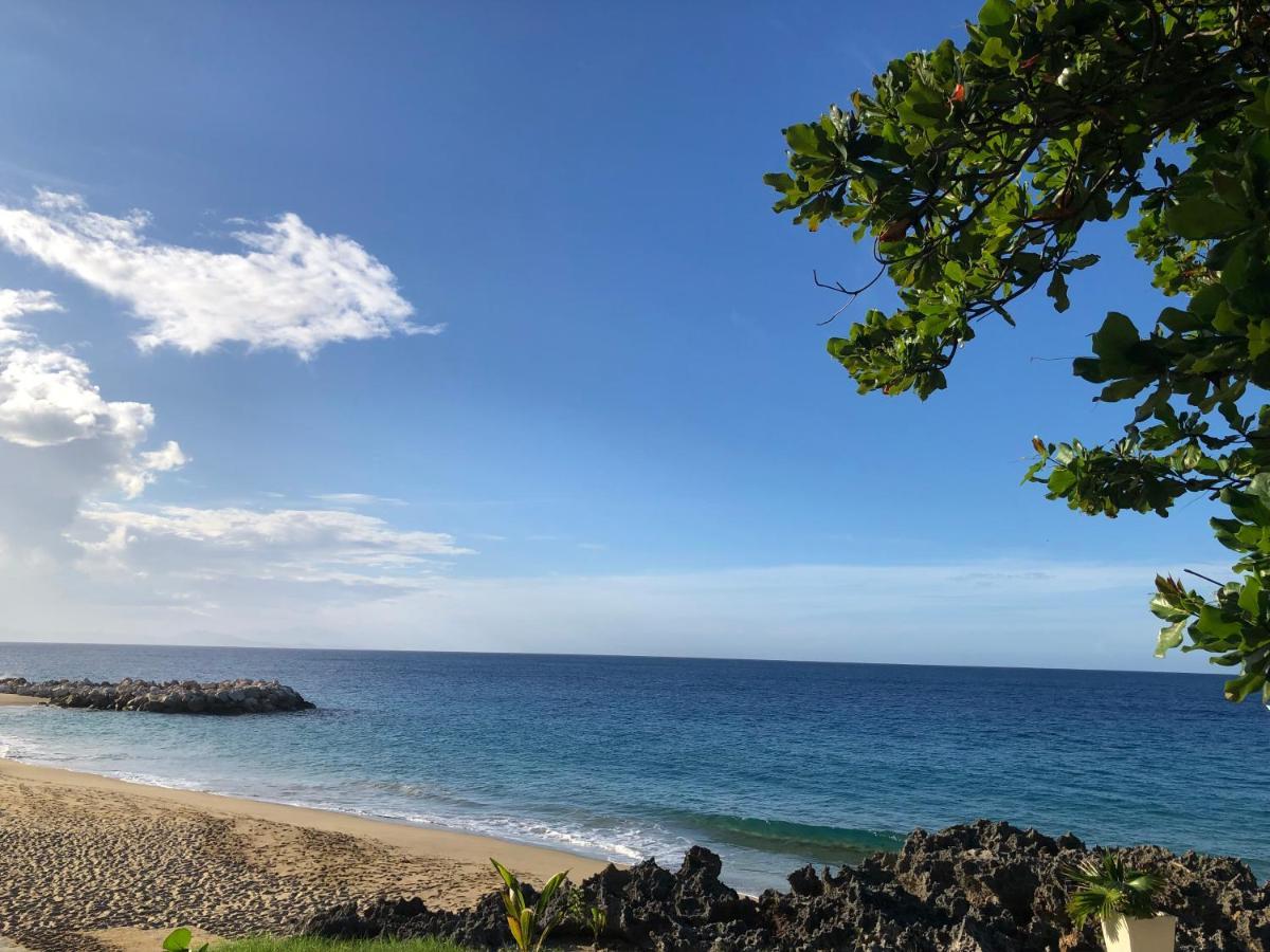 Comfortable Apartment In Caribbean Paradise Sosúa 外观 照片